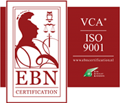 VCA ISO 9001 Logo